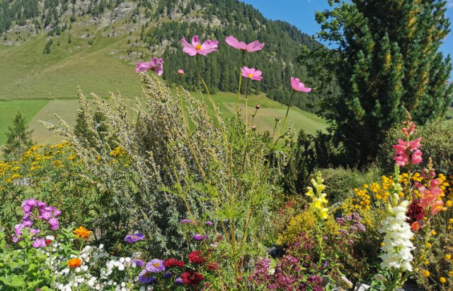 gasthaus_olpererblick_galerie_13