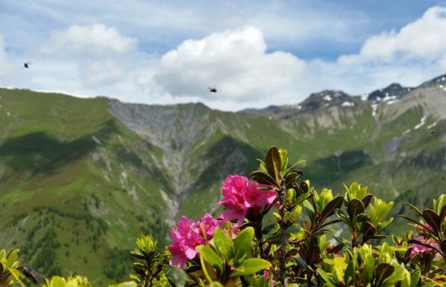 gasthaus_olpererblick_galerie_2