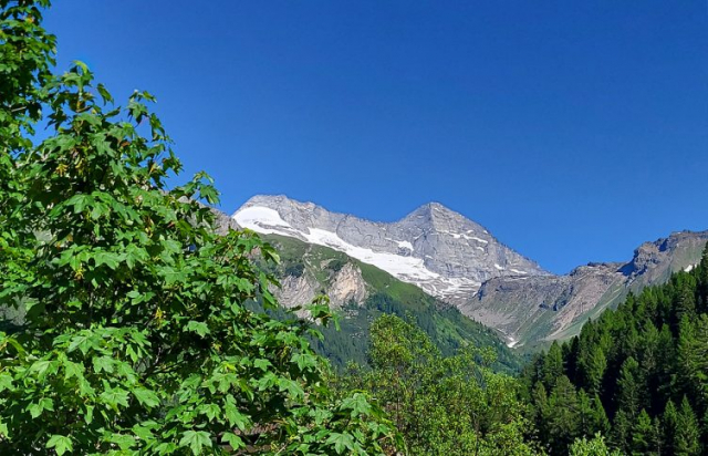 gasthaus_olpererblick_galerie_4